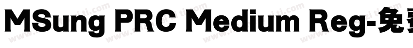 MSung PRC Medium Reg字体转换